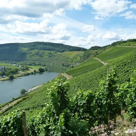 Ferienwohnung Weber Zell an der Mosel Exterior photo